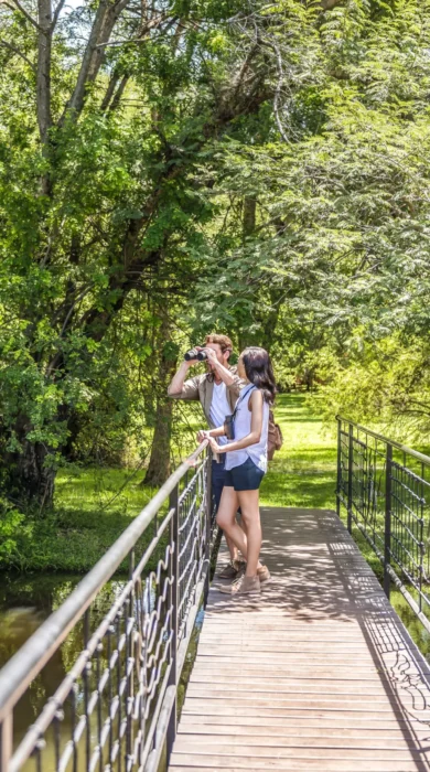 VVIC BirdWatching Bridge Lifestyle G A H