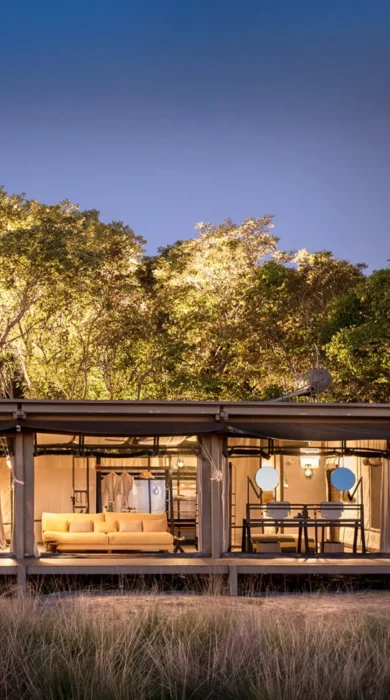 safari suite