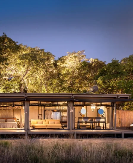 safari suite