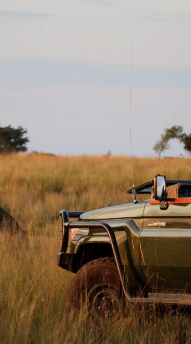 safari drive