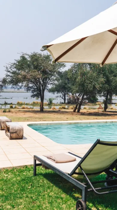 Elephants At Pool Anabezi Camp Lower Zambezi