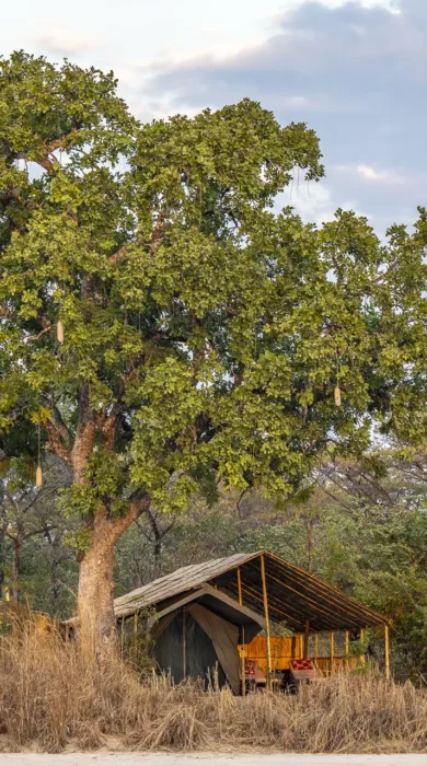 Exterior, Nkonzi Bush Camp, South Luangwa, Zambia