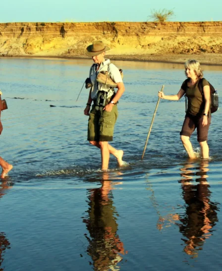 Surefoot Safaris Walking Luangwa River Will Whitford