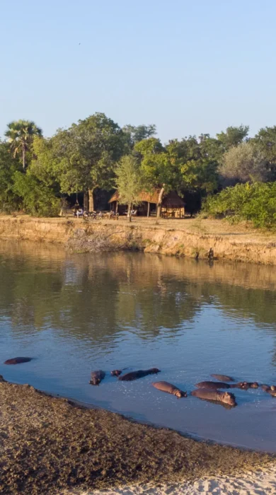 luangwa river takwela camp zambia yellow zebra safaris