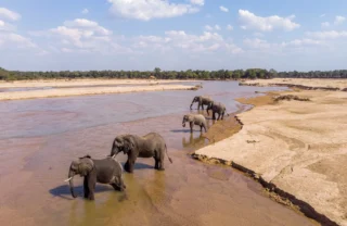 mwaleshiriver takwela camp zambia yellow zebra safaris
