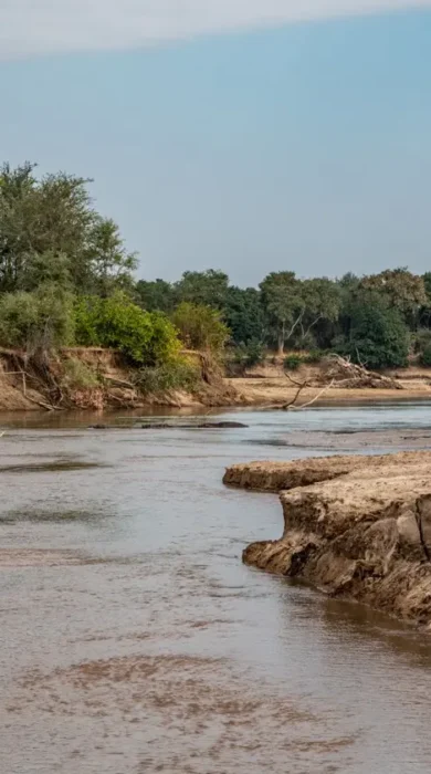 walking at takwela camp zambia yellow zebra safaris