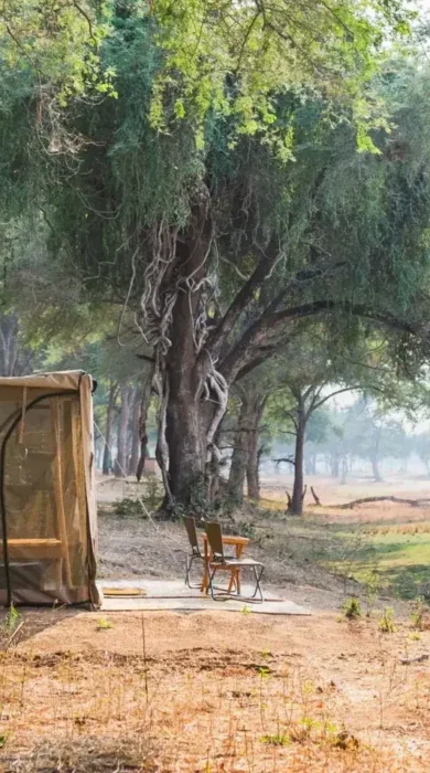 Kutali camp tent overview Zambia yellow zebra safaris