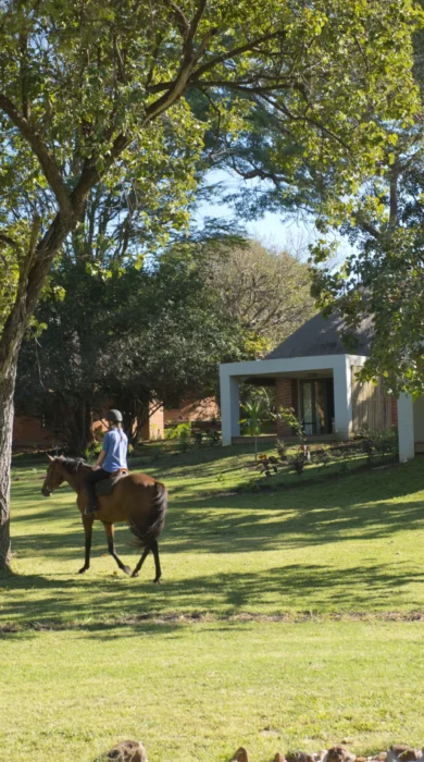 horse riding