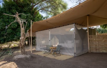 chula island zambia tent yellow zebra safaris