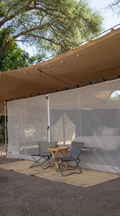 chula island zambia tent yellow zebra safaris