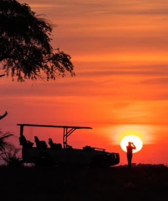 sunset game drive, chisa busanga camp, kafue national park, zambia