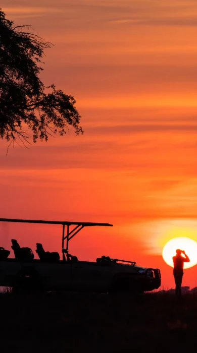 sunset game drive, chisa busanga camp, kafue national park, zambia