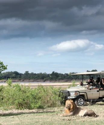 Game drive activities, Shawa Luangwa Camp, Zambia