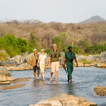 walking safari, south luangwa national park, zambia