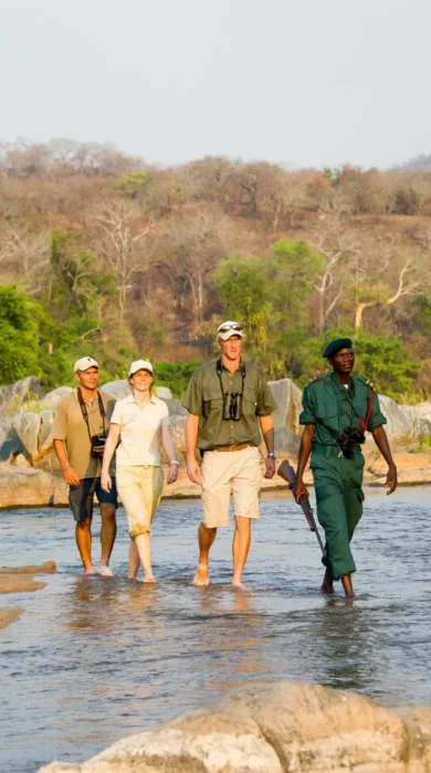 walking safari, south luangwa national park, zambia