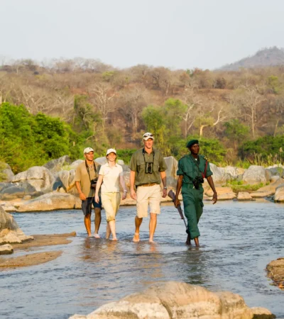 walking safari, south luangwa national park, zambia