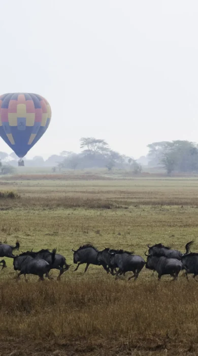air balloon safaris, kafue national park holidays