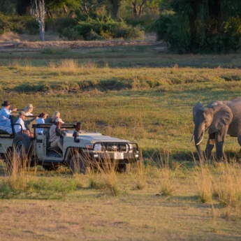 Family On Safari, Luangwa Safari House, South Luangwa, Zambia