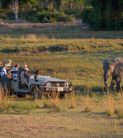 Family On Safari, Luangwa Safari House, South Luangwa, Zambia