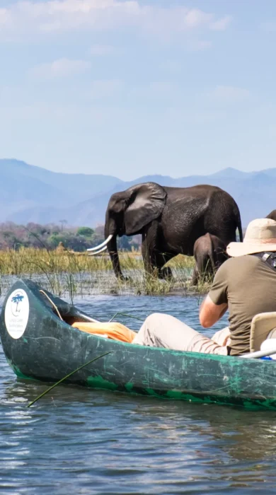 little vundu camp mokoro game zimbabwe yellow zebra safaris