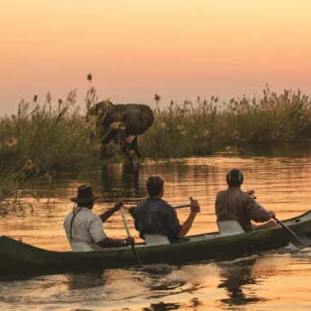 Canoeing in Mana Pools, Tembo Plains Camp