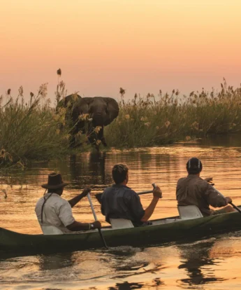 Canoeing in Mana Pools, Tembo Plains Camp