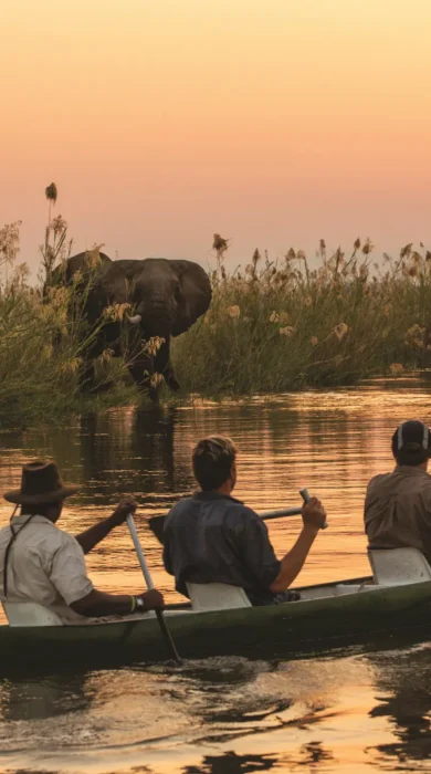 Canoeing in Mana Pools, Tembo Plains Camp