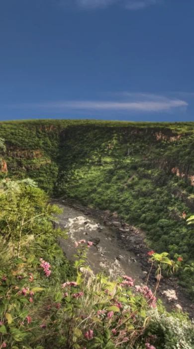 11. Imvelo Safari Lodges Gorges Lodge Beautiful views!