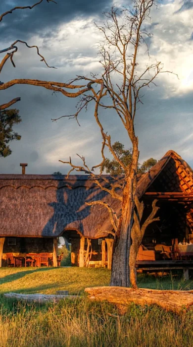 Main lodge, Bomani Tented Lodge, Hwange, Zimbabwe