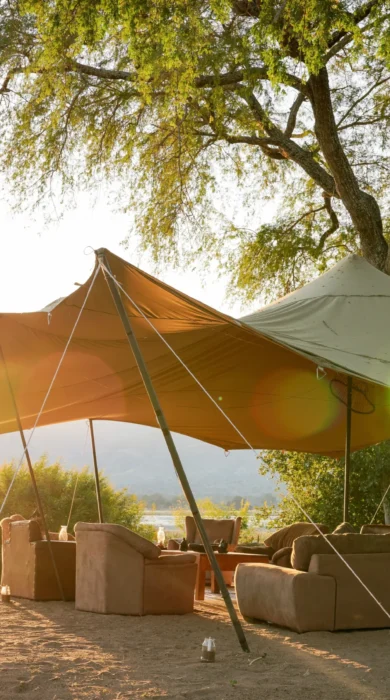 little vundu main area view zimbabwe yellow zebra safaris