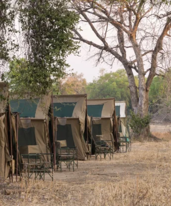Camp chitake tents