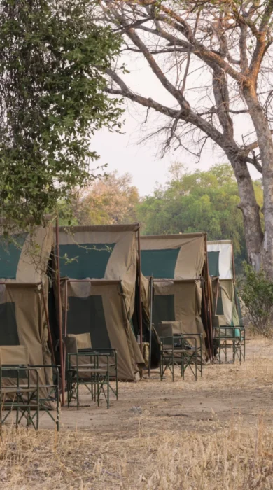 Camp chitake tents