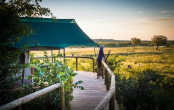 Deteema springs zimbabwe lodge yellow zebra safaris