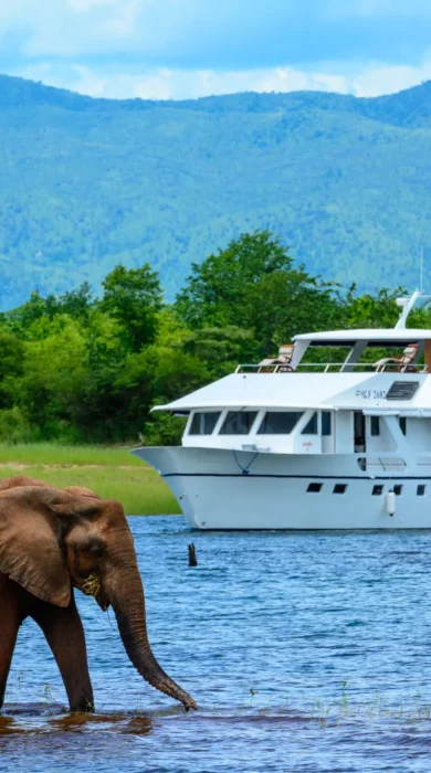 Safari cruising zambia