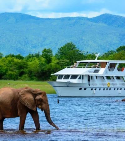 Safari cruising zambia
