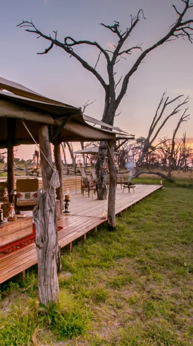 the private hide decking zimbabwe yellow zebra safaris
