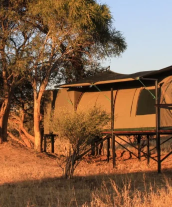 Tented room, Jozibanini Camp, Hwange, Zimbabwe