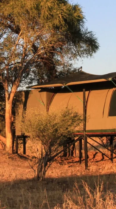 Tented room, Jozibanini Camp, Hwange, Zimbabwe