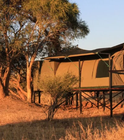 Tented room, Jozibanini Camp, Hwange, Zimbabwe