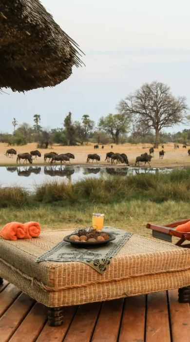 Swimming pool, Bomani Tented Lodge, Zimbabwe