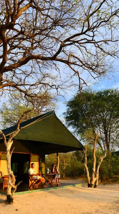 Spurwing tent, Bomani Tented Lodge, Hwange, Zimbabwe