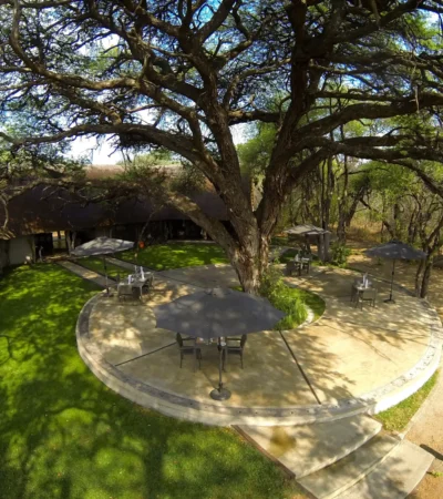 4. Imvelo Safari Lodges Camelthorn Lodge Main Lodge