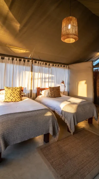 twin room, wilderness davisons, hwange national park, zimbabwe
