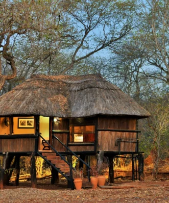 camp exterior, ivory safari lodge, hwange national park. zimbabwe