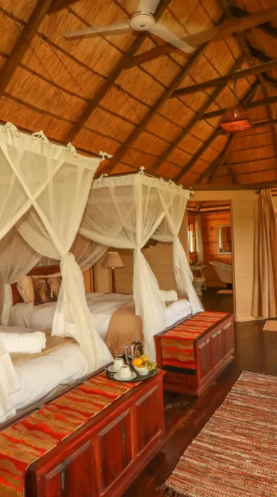 Twin Room, Nehimba Lodge, Hwange, Zimbabwe