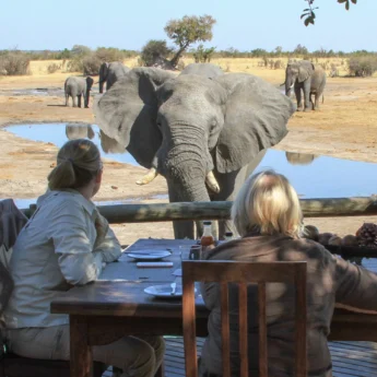 Elephants at waterhole, Nehimba Lodge, Hwange, Zimbabwe