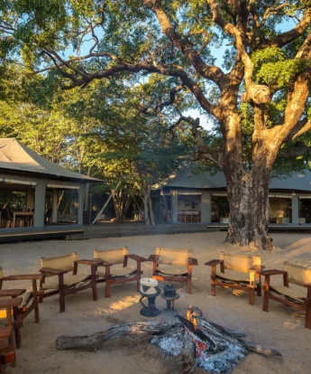 Camp Fire, Little Makalolo, Hwange NP, Zimbabwe