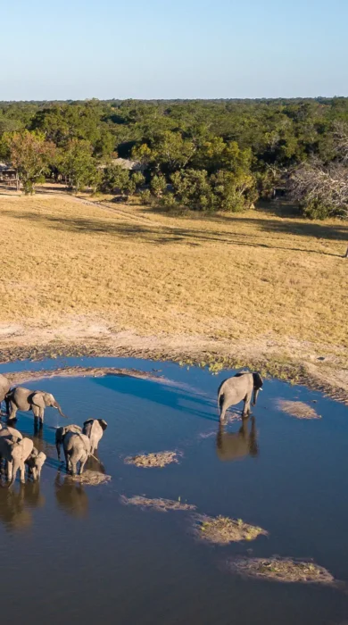 Watering Hole, Little Makalolo, Hwange NP, Zimbabwe