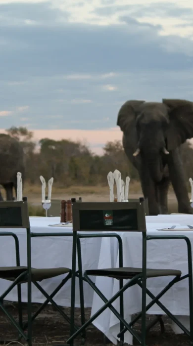 Bush Dinner 2
