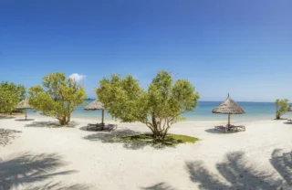 Beaches at Pole Pole, Mafia Island, Tanzania